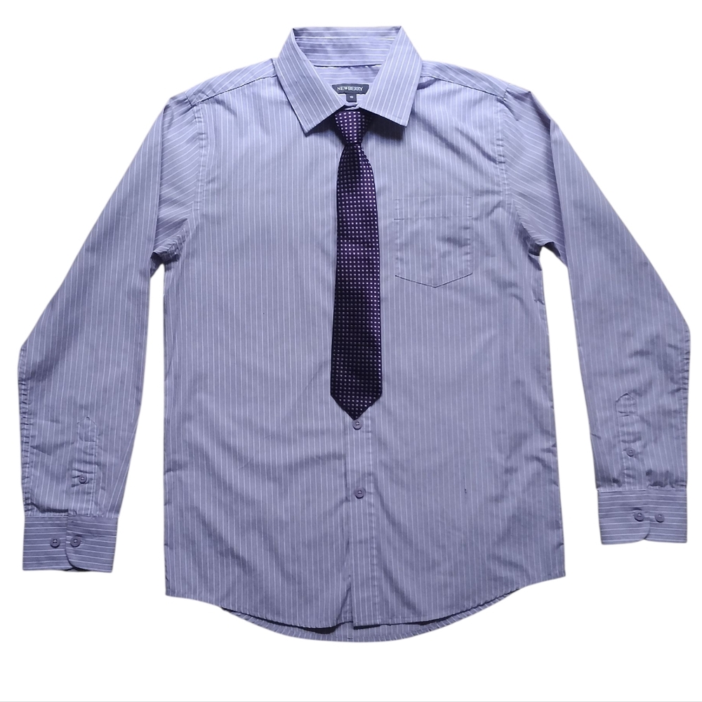 Newberry Purple Striped Dress Shirt Set With Tie
